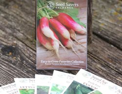 Start Seeds Indoors For Your Vegetable Garden
Garden Design
Calimesa, CA