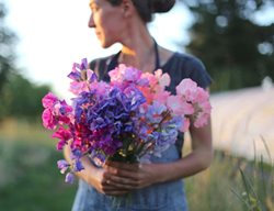 Start Sweet Peas
Garden Design
Calimesa, CA