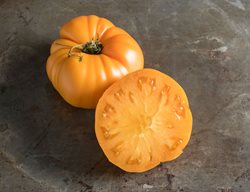 Start Tomato Seeds
Garden Design
Calimesa, CA