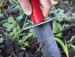 Stay On Top Of Weeds
Garden Design
Calimesa, CA