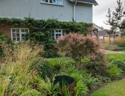 Steel Water Tank, Groundcover
Garden Design
Calimesa, CA