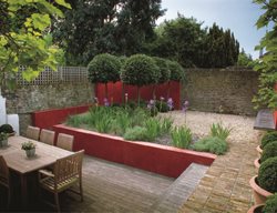 Stipa Gigantea
Garden Design
Calimesa, CA