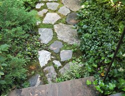 Stone Walking Path And Stairs
Garden Design
Calimesa, CA