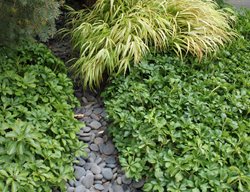 Stony Drystream
Johnsen Landscapes & Pools
Mount Kisco, NY