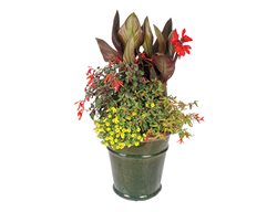 Storey Publishing
North Adams, MA