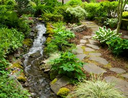 Stream Water Feature
Garden Design
Calimesa, CA