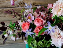 Studio Choo 01
Garden Design
Calimesa, CA