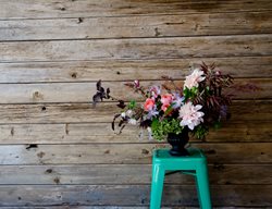 Studio Choo 02
Garden Design
Calimesa, CA