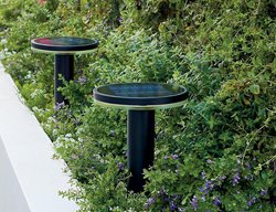 Sturdy Solar Light, Bright Solar Light
Frontgate
West Chester, OH