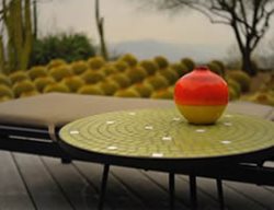 Style Showcase: The Midge
Garden Design
Calimesa, CA