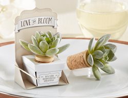 Succulent Bottle Stopper
Garden Design
Calimesa, CA