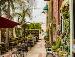 Succulent Cafe (Peter Loyola)
Oceanside, CA