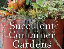Succulent Container Gardens Book
Debra Lee Baldwin
San Diego, CA