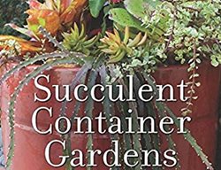 Succulent Container Gardens, Container Gardening Book, Debra Lee Baldwin
Debra Lee Baldwin
San Diego, CA