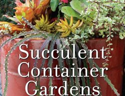 Succulent Container Gardens, Debra Lee Baldwin
Garden Design
Calimesa, CA