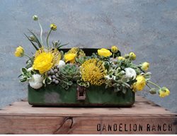 Succulent Floral Arrangement, Succulents, Floral Arrangement
Garden Design
Calimesa, CA