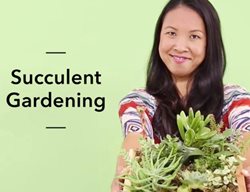 Succulent Gardening Course
Garden Design
Calimesa, CA