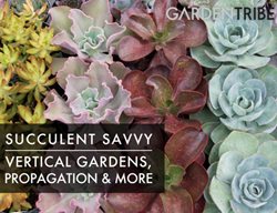 Succulent Savvy
Garden Design
Calimesa, CA