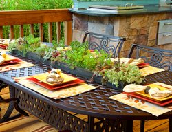 Succulent Table Arrangement
Garden Design
Calimesa, CA