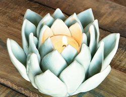 Succulent Tea Light, Candle Holder
Jungalow
Los Angeles, CA