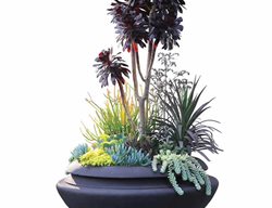 Succulent Urn, Frank Lloyd Wright Urn
Pot Incorporated
Vancouver, BC