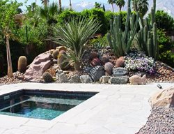 Succulents Planted On Mound
Garden Design
Calimesa, CA