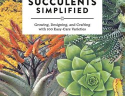 Succulents Simplified, Debra Lee Baldwin
Garden Design
Calimesa, CA