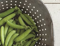 Sugar Ann Snap Pea, Space Saving Edibles
Johnny's Selected Seeds
