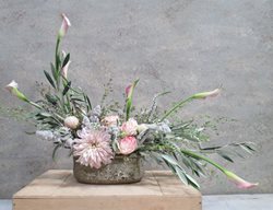 Summer Flowers, Dandelion Ranch, Blooming Herbs
Dandelion Ranch
Los Angeles, CA