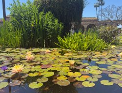 Summer
Garden Design
Calimesa, CA