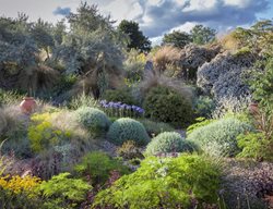 Summer Garden, Hillside Landscape
Garden Design
Calimesa, CA