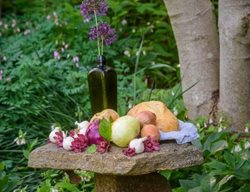 Summer Taboret
Garden Design
Calimesa, CA