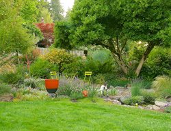 Summertime, Garden
Winterbloom
Tigard, OR