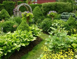 Sun Garden
Garden Design
Calimesa, CA