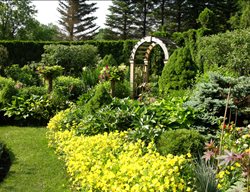Sundrops In Sun-Garden
Garden Design
Calimesa, CA