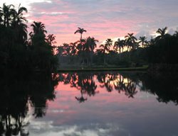 Sunrise
Garden Design
Calimesa, CA