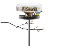 Support Birds In Your Garden
Garden Design
Calimesa, CA