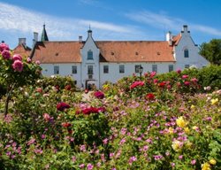 Sweden, Denmark, Garden Tour
Garden Design
Calimesa, CA