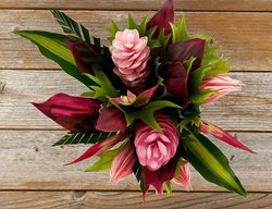 Sweet Escape Tropical Bouquet
Garden Design
Calimesa, CA