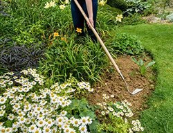 Swoe Hoe
Garden Design
Calimesa, CA