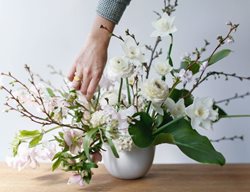 Take A Short Course On Flower Arranging
Garden Design
Calimesa, CA