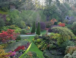 Take The Ferry To Victoria And Visit Butchart Gardens
Garden Design
Calimesa, CA