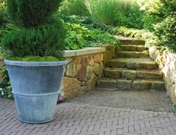 Tapered Pot, Hudson Pot
Detroit Garden Works
Sylvan Lake, MI