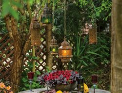 Teak Garden Table, Tropical
Proven Winners
Sycamore, IL