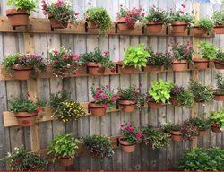 Terra Cotta Wall Planter, Vertical Wall Planting
Proven Winners
Sycamore, IL