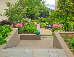 Terraced Backyard, Urban Terraced Garden
Garden Design
Calimesa, CA