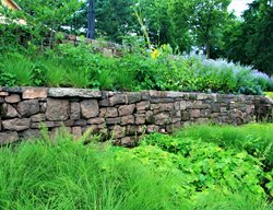 Terraced Retaining Wall
Donald Pell Landscape Design
Phoenixville, PA