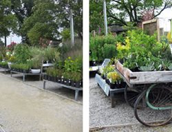 Terrain Nursery And Unique Display Carts.
Garden Design
Calimesa, CA