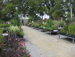 Terrain Nursery
Garden Design
Calimesa, CA