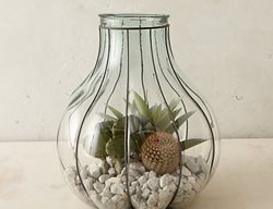 Terrain Terrarium, Terrarium
Garden Design
Calimesa, CA